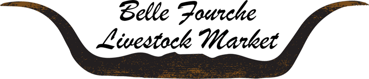 Belle Fourche Livestock Market, LLC