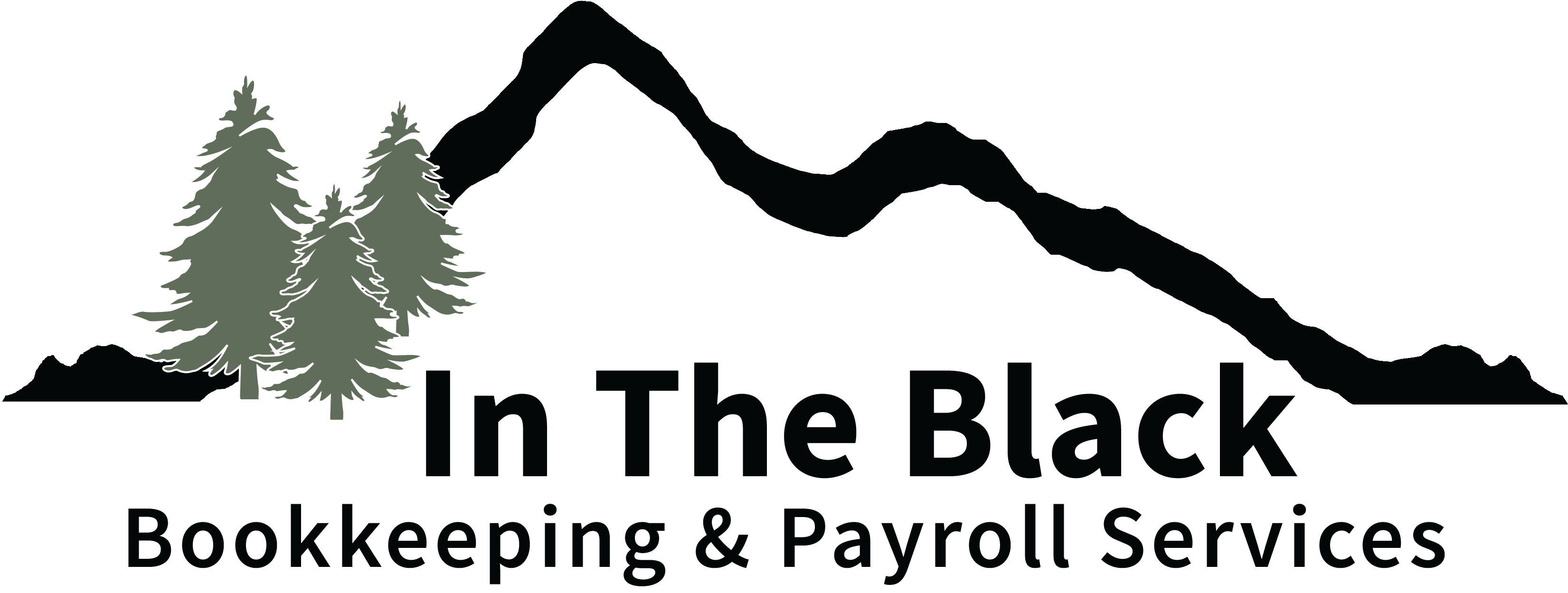 In The Black Bookkeeping & Payroll Services LLC